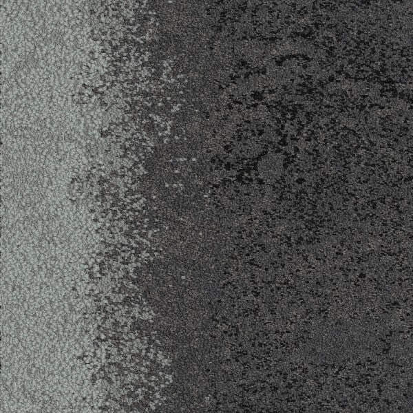 Pattern-Coastal-Plain-And-Anthracite